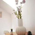 Domen's Cozy * クラーニ
