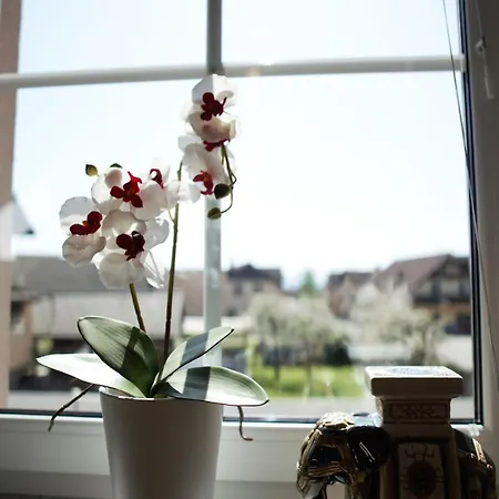 Domen's Cozy Appartement