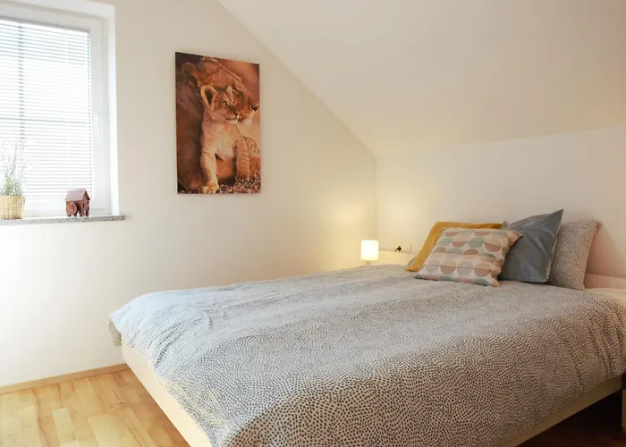 Apartment Domen's Cozy Kranj