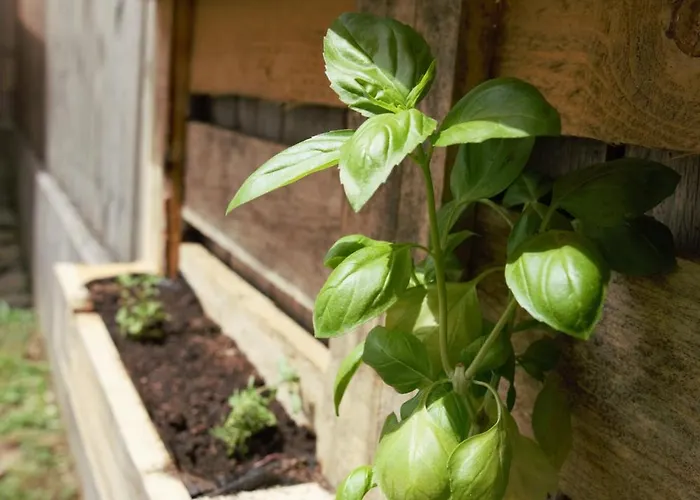 Domen's Cozy * Kranj