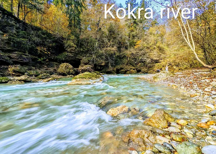 Apartment Domen's Cozy Kranj